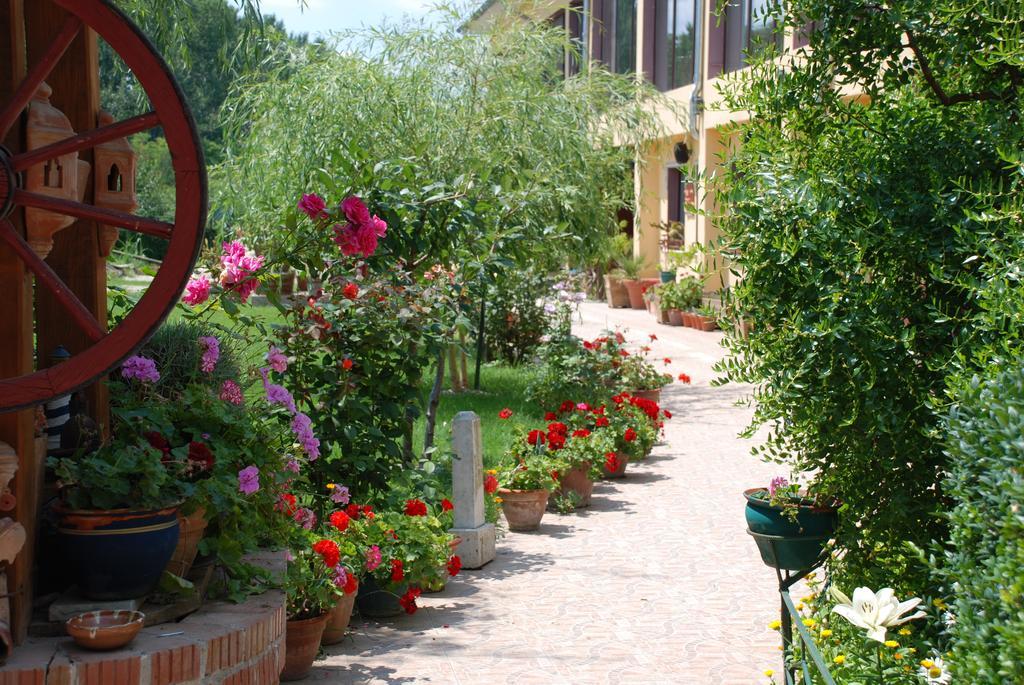 Villa Giulia Islaz Екстер'єр фото